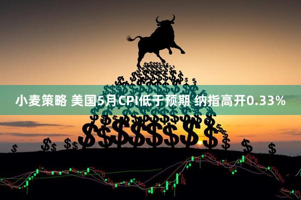 小麦策略 美国5月CPI低于预期 纳指高开0.33%