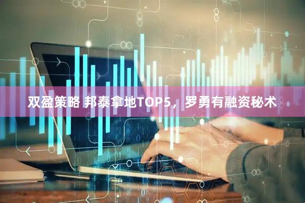 双盈策略 邦泰拿地TOP5，罗勇有融资秘术