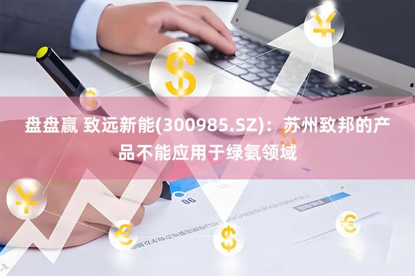 盘盘赢 致远新能(300985.SZ)：苏州致邦的产品不能应用于绿氨领域